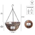 thumbnail image 3 of Cesta de flores colgante con adorno de forro Coco de 10", juego de 2, 3 of 5