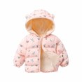 thumbnail image 2 of Lilgiuy Toddler Baby Boys Cute Pattern Plush Winter Keep Warm Hooded Zipper Jacket，Pink,2-3 Years 2022 Fall Winter, 2 of 5
