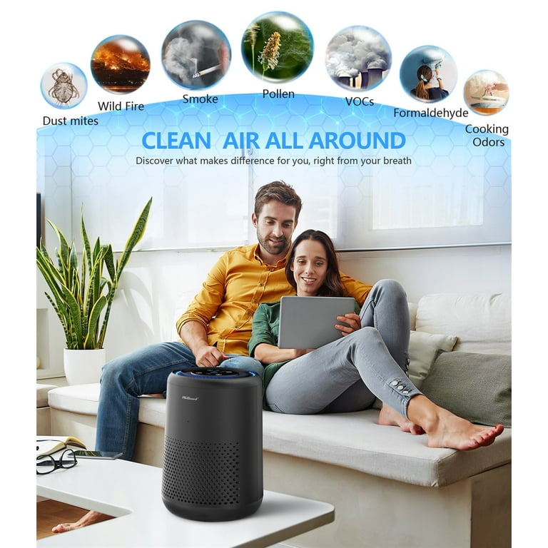 LEVOIT Air Purifiers for Home Large Room, Hepa and 3 Stage Filter Captures  Pet Allergies, Smoke, Dust, Odor, Mold and Pollen for Bedroom, Timer