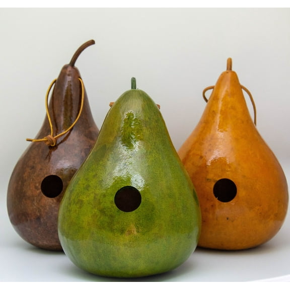 Gourd Birdhouse, Set of 3, Red, Lime Green, Yellow