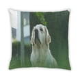 thumbnail image 2 of Ahgly Company Dogs Golden Retriever Indoor Throw Pillow, 18 inch by 18 inch, 2 of 6