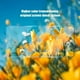 thumbnail image 4 of 3 protectores de pantalla de vidrio templado para Xiaomi Redmi Note 10C 12C 12 10 10S 11S Mi 8 9 11i 11 Lite 5G NE 11T 10T Poco F3 X4 Pro, 4 of 4