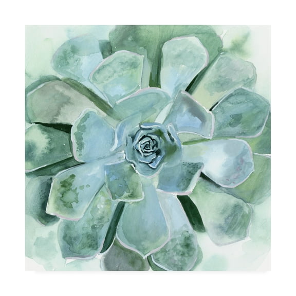 Trademark Fine Art 'Verdant Succulent III' Canvas Art by Victoria Borges