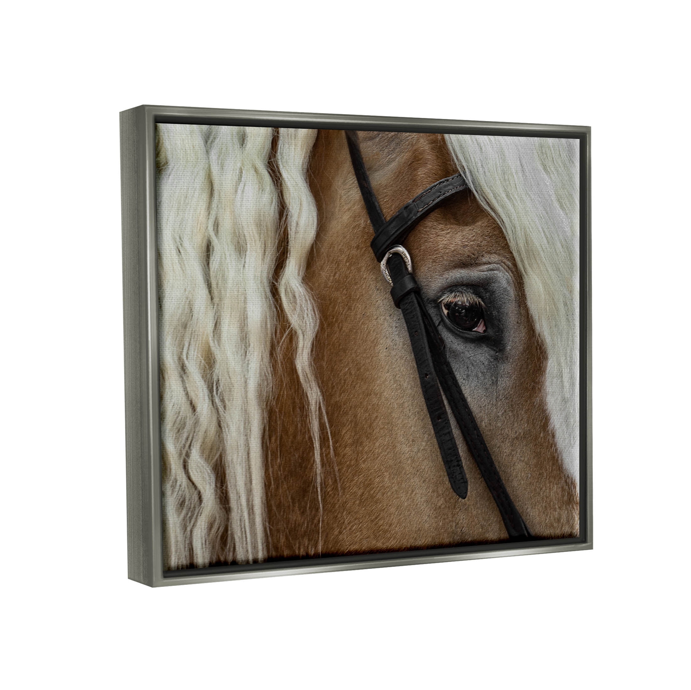 Stupell Industries Blonde Palomino Horse Portrait Photograph Luster Gray Floating Framed Canvas Print Wall Art, Design by David Lorenz