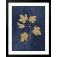 thumbnail image 2 of Art.com Botanical Study III Gold Navy Art Print by Julia Purinton, Black Frame Wall Art, 32" x 40", 2 of 5