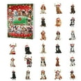 thumbnail image 2 of 2025 Advent Calendar with 24 Collectible Acrylic Pendants - Christmas Countdown Calendar with Daily Surprise 2D Ornaments for Xmas Tree Decor, Family Holiday Activity and Festive Gift Giving, 2 of 7