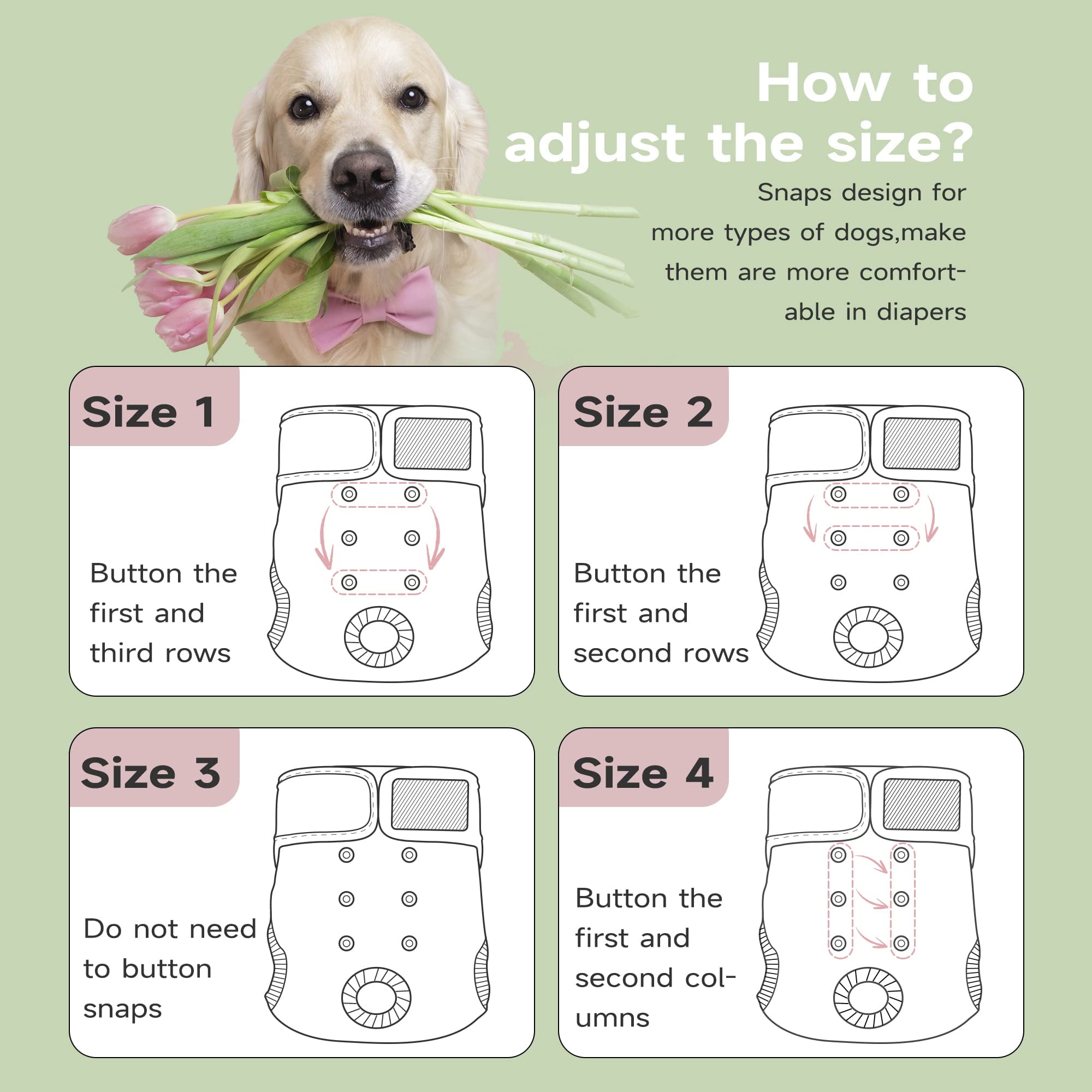 Paw Legend Reusable Female Dog Diapers Pack of 3, No Leak Doggie Diapers for Heat Cycle, Flower, Medium