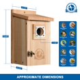 thumbnail image 3 of Pajarera de cedro Bird House Sisterbird con orificio de entrada de 3,8 cm, 3 of 9
