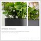 thumbnail image 2 of 4 indicadores de nivel de agua para jardinería, medidor de escasez de agua para plantas en macetas., 2 of 7