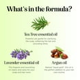 thumbnail image 2 of Tea Tree Oil Shampoo Sulfate Free - Deep Cleansing Vegan Tea Tree Shampoo for Oily Hair and Scalp - Daily Clarifying Shampoo for Build up with Rosemary Essential Oil for All Hair Types 25 Fl Oz, 2 of 12