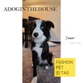 thumbnail image 2 of Etiquetas de identificación ADOGINTHEHOUSE 316 de acero inoxidable quirúrgico para mascotas, 2 of 6