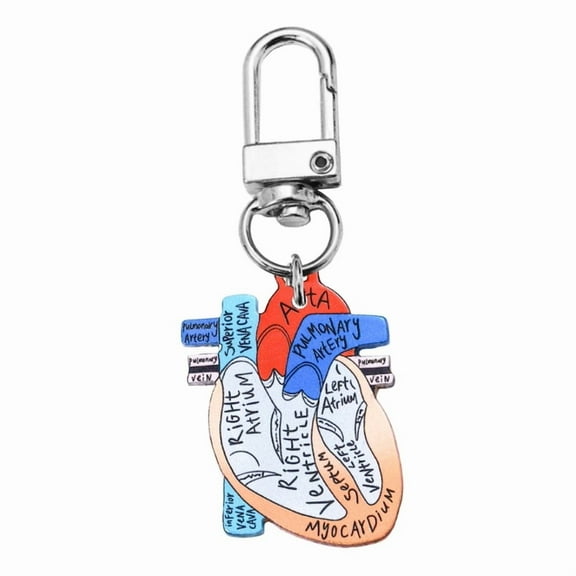 Anatomical Heart Keychain Pendant Educational Keyrings Accessory for Medical Students and Healthcare Professionals
