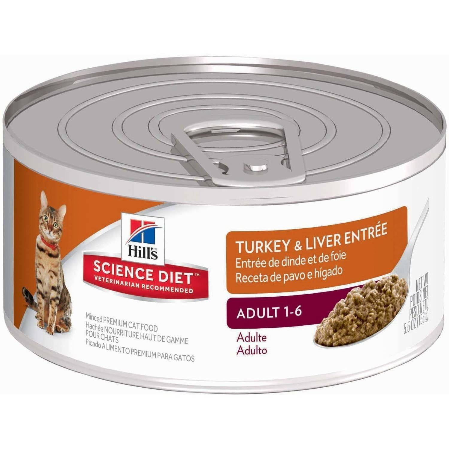 cat diet and nutrition