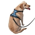 thumbnail image 2 of Balery Blue Squares Arnés para Perros Grandes Antitirones, Arnés con Correa para Gato, Arnés Tipo Chaleco para Perros Pequeños-Medium, 2 of 6