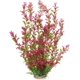 thumbnail image 1 of Planta de agua de plástico de 18.0 in para adorno de acuario, color rojo rodo, 1 of 8