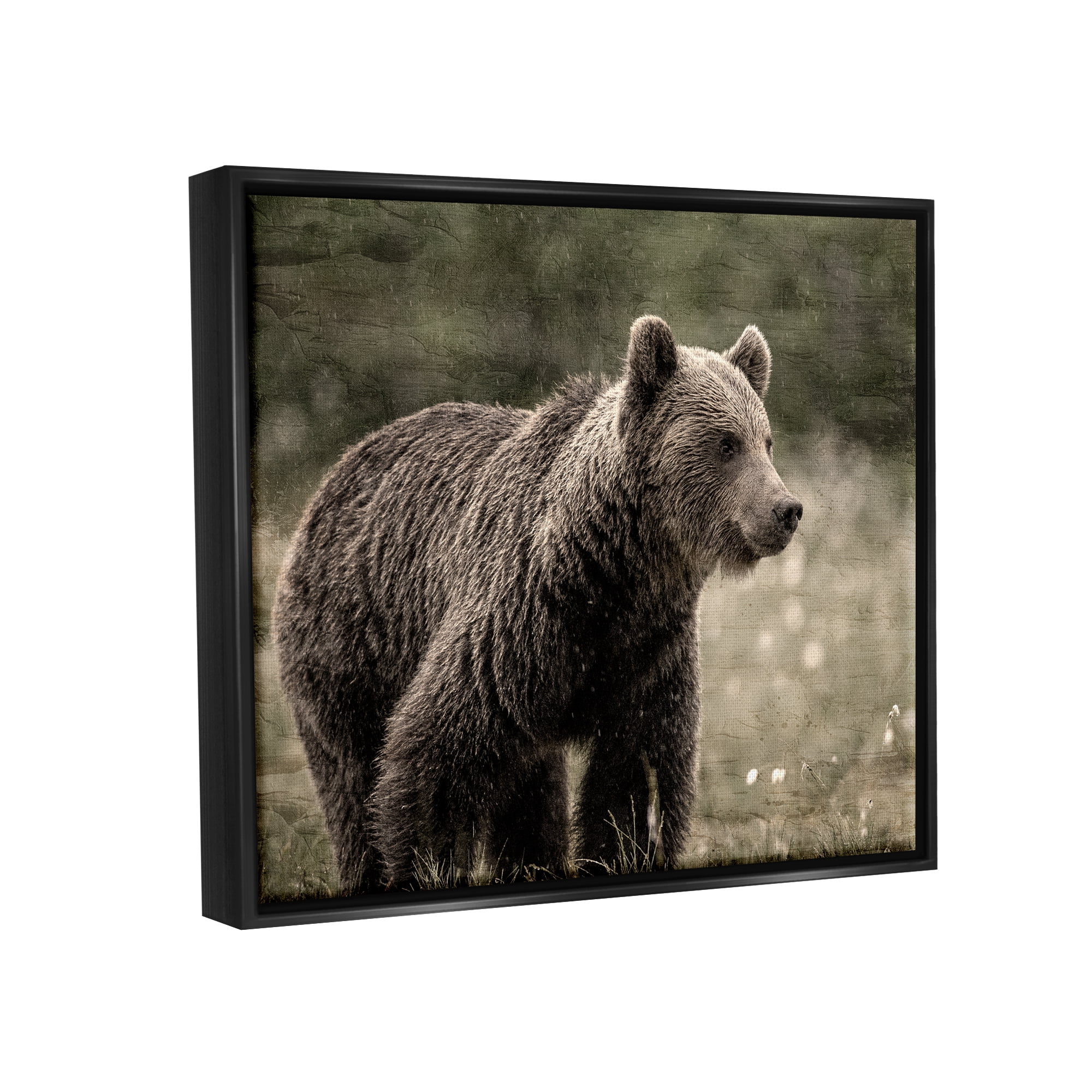 Stupell Industries Brown Bear Wildlife Animals & Insects Painting Black Floater Framed Canvas Art Print Wall Art, 31 x 25
