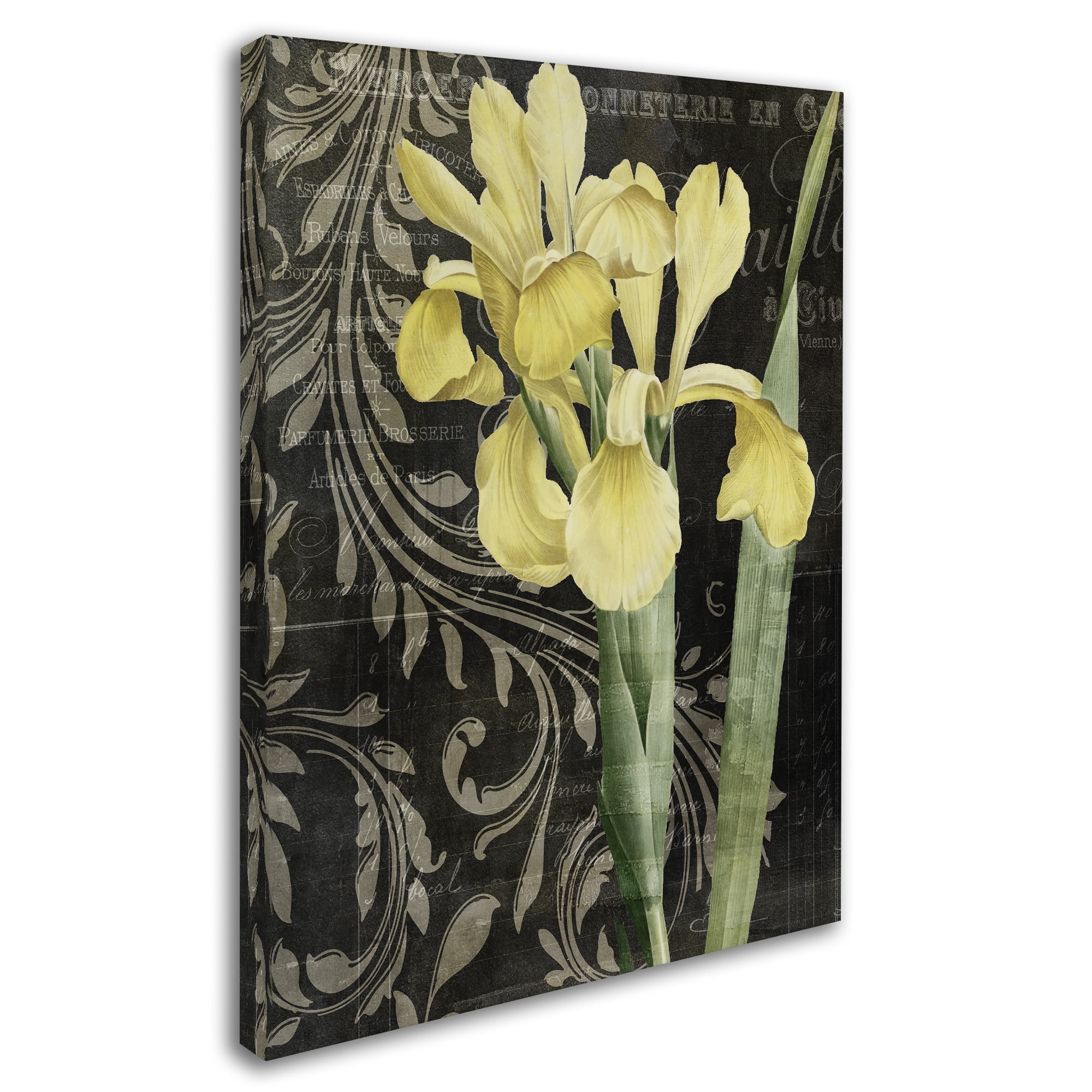 Trademark Fine Art "Ode To Yellow" Canvas Art by Color Bakery