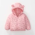 thumbnail image 2 of Toddler Girls Fall Coats Hooded Zipper Floral Print Jacket Windproof Winter Casual Outerwear Size 18-24 Months, 2 of 6