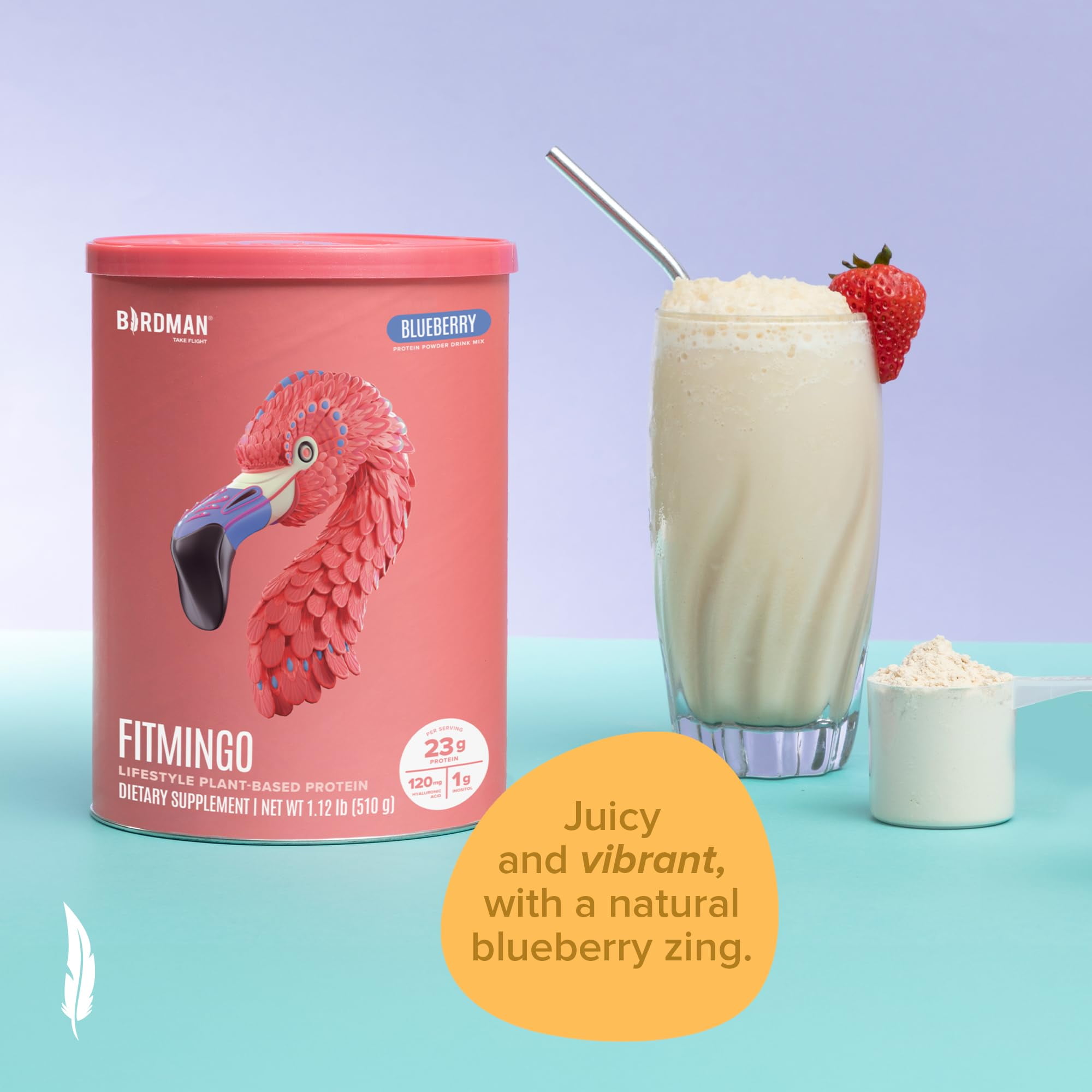 BIRDMAN Fitmingo Vegan Protein Powder with Inositol, 3 Blends, Blueberry, 15 Servings, 1.12lb