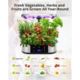thumbnail image 4 of QinaQin 12-Compartment Hydroponic System Indoor Garden 30w 120 Led Light Planting Box, 4 of 7