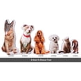 thumbnail image 2 of Printtoo 3D Animal Shape Cushion Plush Soft Toy Both Side Customized Photo Pillow Birthday Gift Home Decor-14X14, 2 of 6