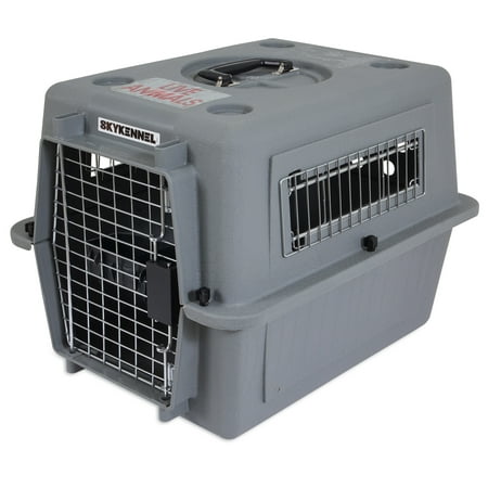 UPC 029695001000 product image for Petmate Sky Kennel  Small  15 L x 21 W x 16 H | upcitemdb.com
