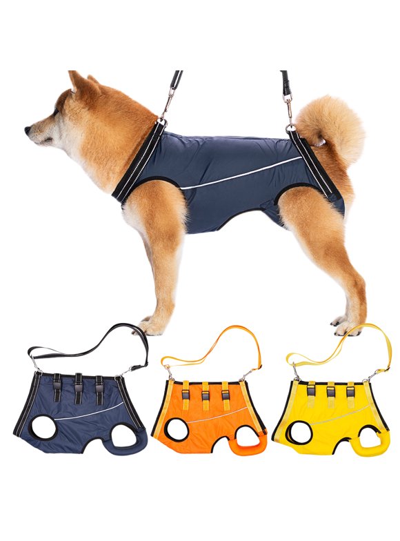 Service & Support Dog Harnesses in Dog Collars, Leashes, and Harnesses
