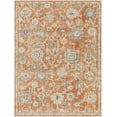 thumbnail image 3 of Mark&Day Washable Rugs, 5x7 Erlanger Traditional Burnt Orange Area Rug, Orange Blue Beige Carpet for Living Room, Bedroom or Kitchen (5'3" x 7', Machine Washable), 3 of 8