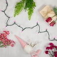 thumbnail image 3 of Northlight LED Mini Christmas Lights - Pink - 33' Green Wire - 100ct, 3 of 5