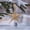 Gold, variant on Konghyp Christmas Decoration Pendant, Exploding Star Pendant for Christmas Tree, Shatterproof Ornaments, Versatile Holiday Decor, Easy to Hang Christmas Tree Decorations, Festive Home Accessories