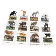 thumbnail image 4 of 12 piezas de minifiguras de animales Realistas Zulema Tarjetas de Figuras Realistas, 4 of 8