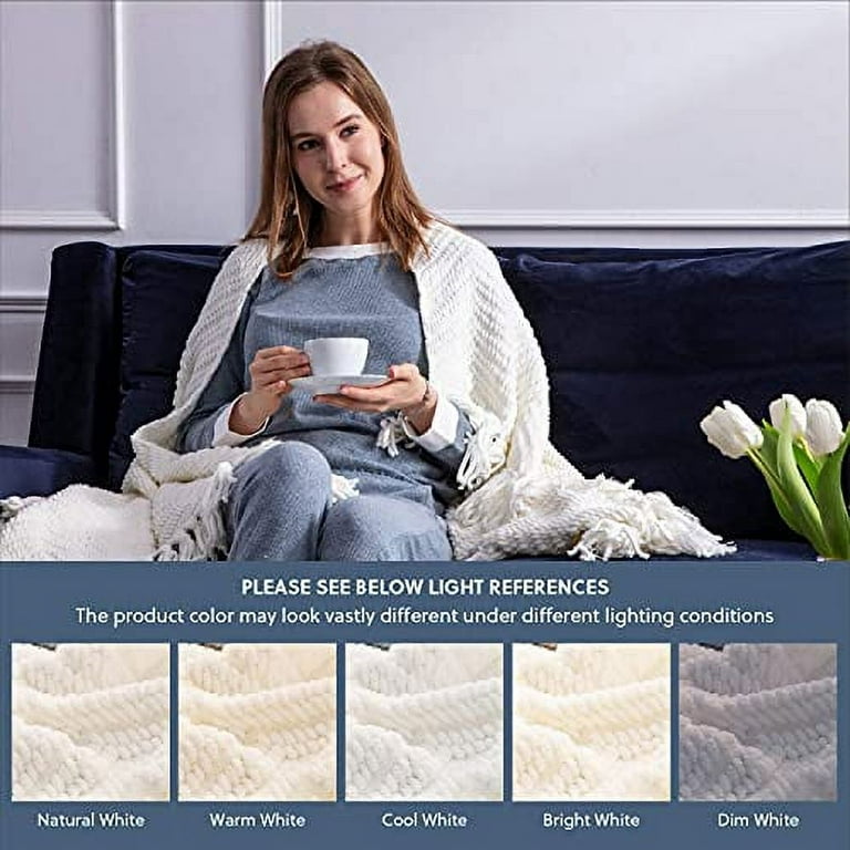 Bedsure Cream White Throw Blanket for Couch, Knit Woven Chenille Blanket  Versatile for Twin Bed, 60 x 80 Inch, Super Soft Warm Decorative Ivory