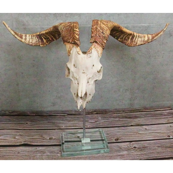 Rustic Western Valais Blackneck Billy Goat Skull Plaque Glass Base Pole Stand