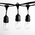 thumbnail image 1 of Hometown Evolution  100 ft. E26 Commercial Outdoor String Lights With 50 Suspended, 1 of 1