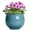 Blue, variant on Ordivic 6 Inch Black Ceramic Self Watering African Violet Pot with Absorbent Inner Pot – Round Planter for Indoor Plants, Home Decor, Gift for Plant Lover