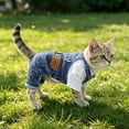 thumbnail image 6 of Denim Dog Overalls, Breathable Cotton Spring Fall Apparel Puppy Kitten Fashion Clothing Washable Jean Fabric Pet Jumpsuit Small Animal Garment Blue, 6 of 6
