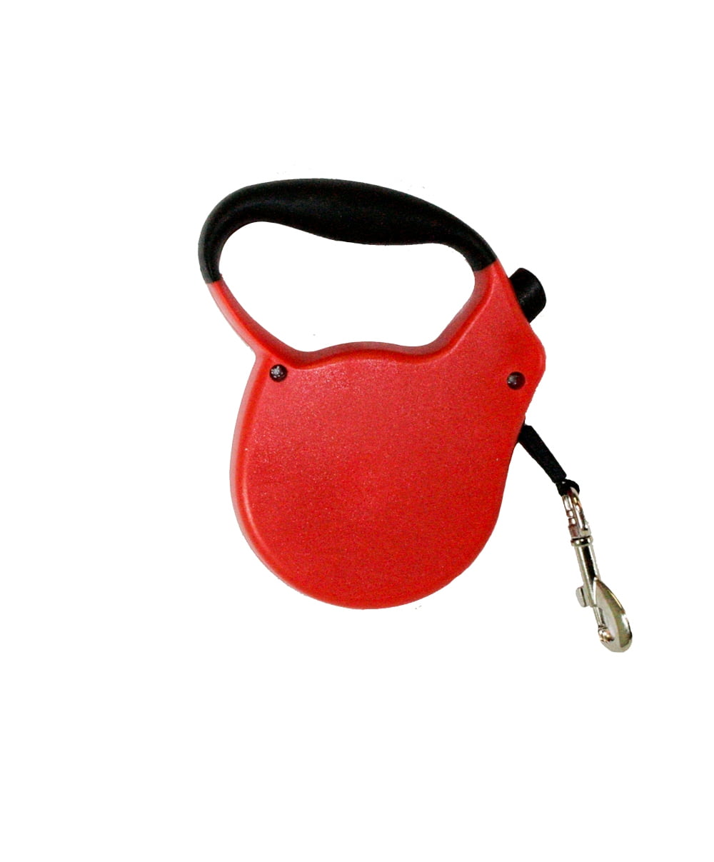 intense basking spot