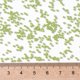 thumbnail image 4 of TOHO Round Seed Beads Japanese Seed Beads (44) Opaque Sour Apple 15/0 1.5mm Hole: 0.7mm about 3000pcs/10g, 4 of 5