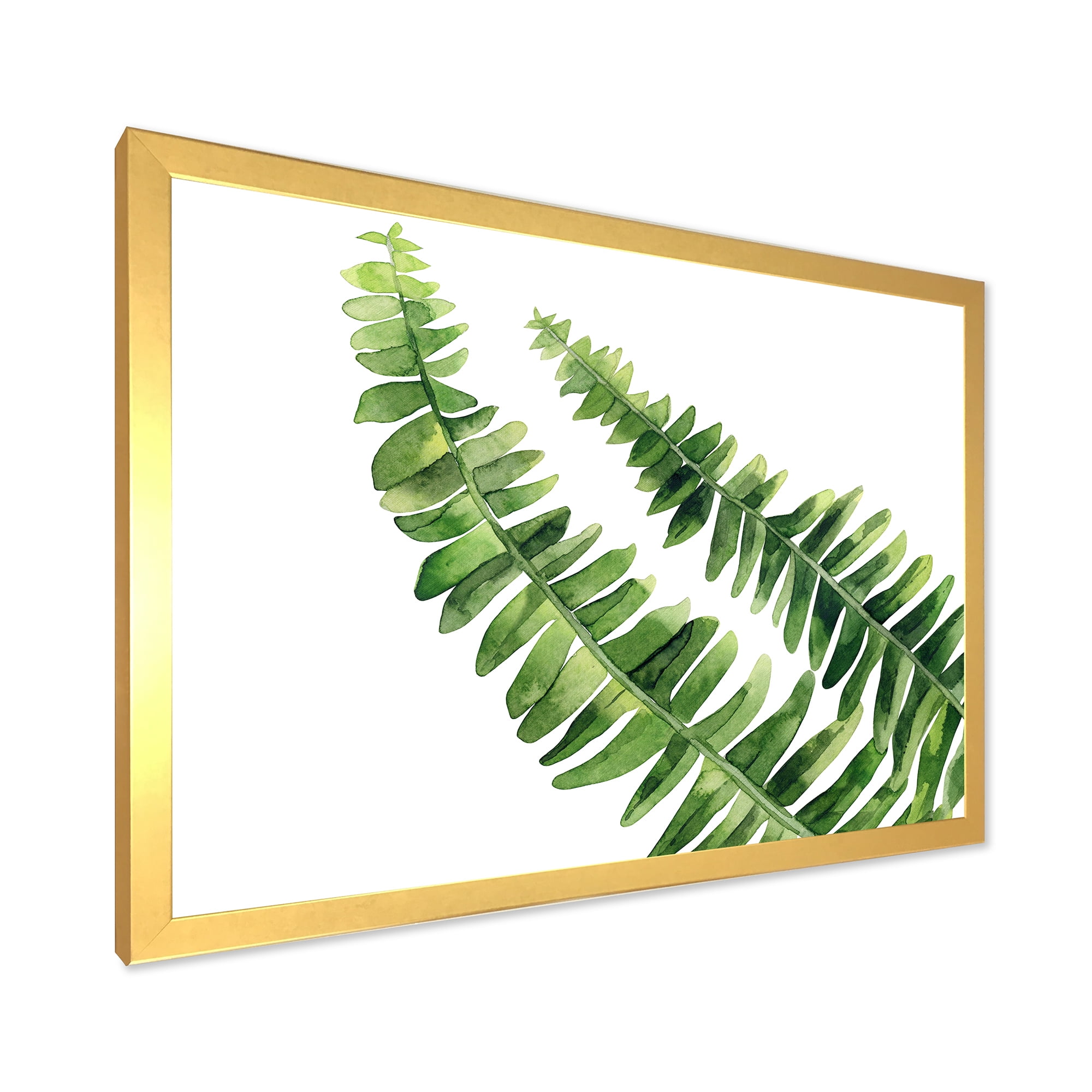 Designart 'Fern Plant Leaves Detail I' Farmhouse Framed Art Print