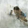 thumbnail image 3 of Roko, Ken 20x20 Black Modern Framed Museum Art Print Titled - Mama Owl and Baby, 3 of 5
