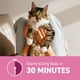 thumbnail image 4 of Tratamiento oral contra pulgas Capstar para gatos de 2 a 11 kg, 12 dosis, 4 of 7