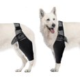 thumbnail image 1 of Dog Elbow and Shoulder Support for Dysplasia and Arthritis, 1 of 5