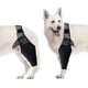 thumbnail image 1 of Dog Elbow and Shoulder Support for Dysplasia and Arthritis, 1 of 5