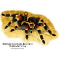 thumbnail image 3 of CafePress - Mexican Red Kneed Tarantula Mug - 11 oz Ceramic Mug - Novelty Coffee Tea Cup, 3 of 6