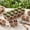 Biodegradable Seed Starter Tray, variant on 72-Cell Seed Trays with Drainage Trays-10 Sets 20 Packs-1020 Durable Plastic Plant Tray for Seed Germination(21x11x1.81 in)