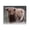 Southwestern Farmhouse Highland Cattle Pasture, variant on Stupell Industries Farmhouse Tender Living Space Barn Canvas Art, 20 x 16, by Marcus Prime