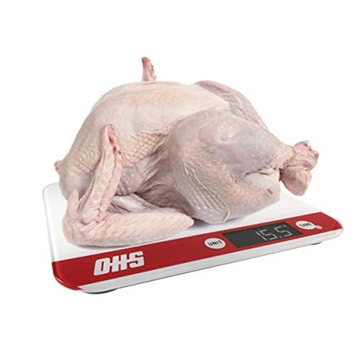 OHS METEOR Tempered Glass Kitchen Scale