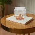 thumbnail image 3 of KAKOWELY plastic fishbowl Unbreakable Transparent Fish Bowl Desktop Small Fish Bowl Plastic Fish Bowl Transparent Desktop Small Aquarium Goldfish Bowl for Home, 3 of 5