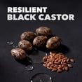 thumbnail image 5 of Eco Style Black Castor & Flaxseed Oil Styling Gel 16 oz, 5 of 7