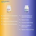Puregen Labs Daytime and Nighttime Combo Pack, Cold and Flu Relief